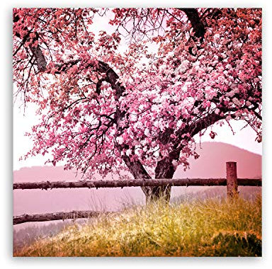 ge Bildet Bild auf Leinwand | Pflanzen Bilder - Frühlingsbaum - Natur Baum Rosa Pink in 50x50 cm als Wandbild | Wand-deko Dekoration Wohnung modern Bilder | 2207