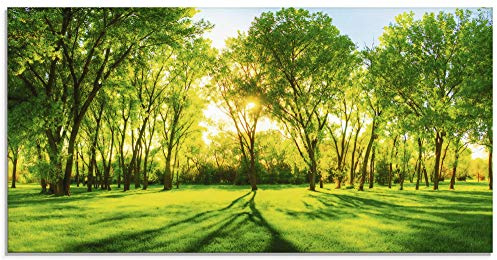 ARTland Wanddeko Glasbilder Wandbild Glas Bild einteilig 100x50 cm Querformat Natur Wald Sonne Landschaft Frühling Wiese Bäume Grün T2OP