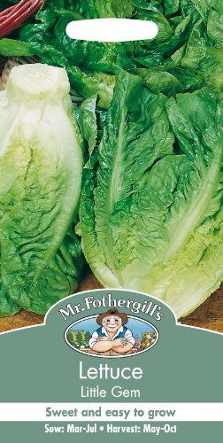 Mr Fothergill's 24715 Vegetable Seeds, Lettuce Little Gem