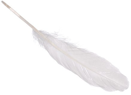 Echte Gänsefedern/FedernWEISS (8 Stück / 16-21 cm)