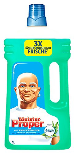 Meister Proper Allzweckreiniger, 1 l, Frühlingserwachen
