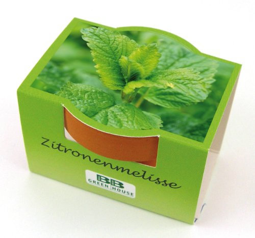 Bull & Bear Mini Pflanzset Zitronenmelisse Samen Set mit Tontöpfchen mit Zitronenmelissesamen und Pflanzsubstrat