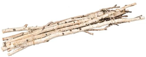 NaDeco Birkenzweige 10 Stück ca. 1m lang – Naturäste gebündelt – Deko-Zweige aus echter Birke für Osterstrauch, DIY, Basteln, Hochzeit, Frühlingsdeko, Herbstdeko, Tischdeko & Natur-Deko Innenbereichㅤ