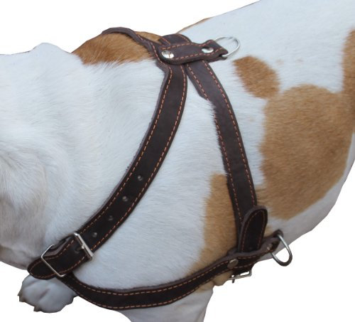 Hohe Qualität Leder Hund ziehen Walking Geschirr. 83,8 cm – 94 cm Brust, 2,5 cm breiten Trägern. Pitt Bull, Rottweiler