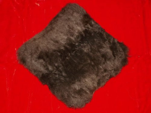 Natur-Fell-Shop Kissen aus echtem Schaffell/Lammfell 40x40cm BRAUN