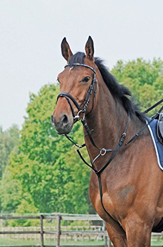 Busse 125101.346.933.