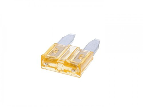 Sauvegarde Lin Teck Fusible Mini 11,1 mm 5 A Beige