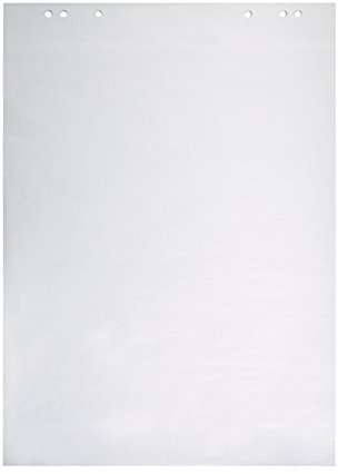 Dahle Bürotechnik Flip-Chart-Block Dahle 95036, weiß, Offset, 80 g/qm, blanko/blanko, 20 Blatt