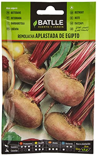Semillas Batlle Remolacha mesa Aplastada Egipto