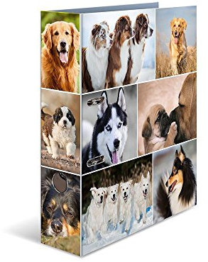 HERMA Ordner A4 Hunde, 7 cm breit, Kinder Ringordner mit Tier Motiv, bunter Aktenordner mit Innendruck für Jungen und Mädchen