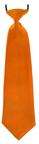 Boys Pre-Tied Ties. Satin Plain Coloured Childrens Tie. Elasticated. 22 Colours Available. Handmade. Wedding, School, Fashion (Orange, Boys Tie)