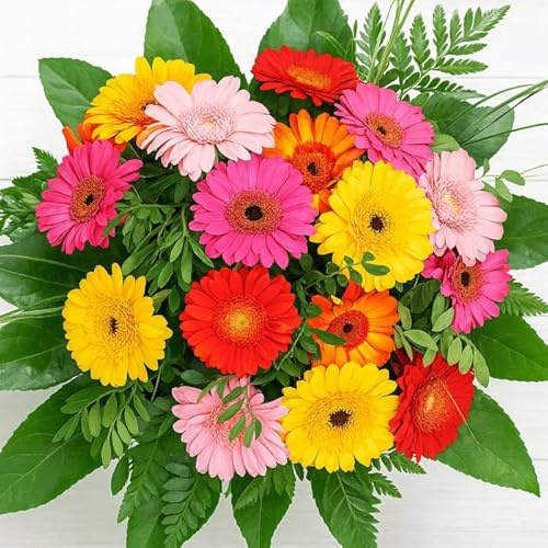 Bunter Blumenstrauß - 12 bunte Gerbera - Inklusive Grußkarte - Geschenktipp zum Geburtstag