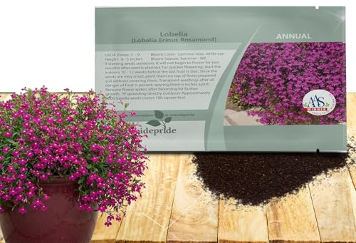 Outsidepride Rosamond Lobelia Seeds for Planting Outdoors - 5000 Annual, Cold-Hardy, Self-Sowing Ground Cover Plants w/Trailing Habit for Edging Borders, Hanging Baskets & Rock Gardens (AAS Winner)
