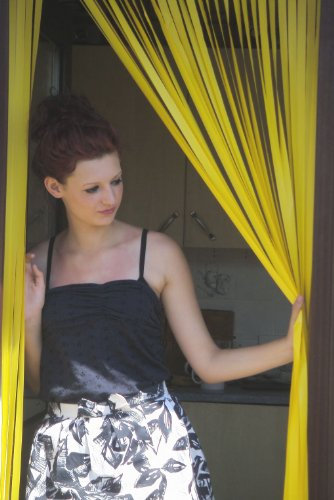 Slat type Door Curtain,Bug Blind,Fly Blind,Strip Blind-'SUNBURST'-80cm wide x 200cm drop