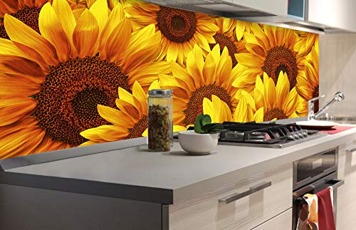 DIMEX LINE Paraschizzi Auto-Adesiva per la Cucina Girasole 180 x 60 cm | Resistente all’Acqua | QUALITA‘ Premium