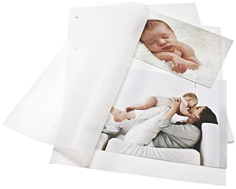 goldbuch 83001 - Cartón de fotos con pergamino, 20 hojas, para archivadores de fotos y carpetas Bella Vista, relleno de álbum de fotos, formato DIN A4, color blanco