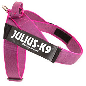 Julius-K9, IDC® Color & Gray® Beltgeschirr