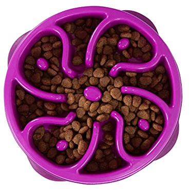 Outward Hound Fun Feeder Slo Bowl – Medium 2‑Cup Capacity, Slow Feeding, Small to Medium Dogs & Cats, Non-Slip, Purple, Flower Pattern
