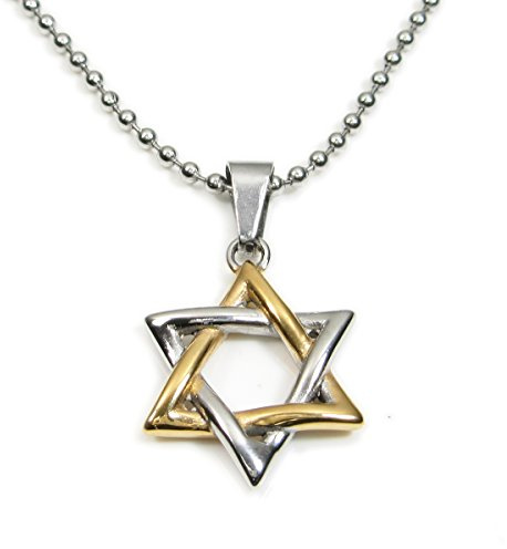 Stainless Steel 2 Tone Gold-tone Silver-tone Star of David Pendant Necklace