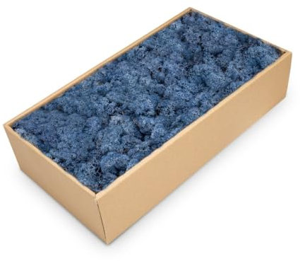 NaDeco Islandmoos Blau, konserviert, verpackt im Karton mit ca. 500g | Moos zum Basteln und Dekoration | Moosbild selber Machen | Rentier Moos | Rendier Moos | Deko Moos | Bastel Moos | Dekomoos