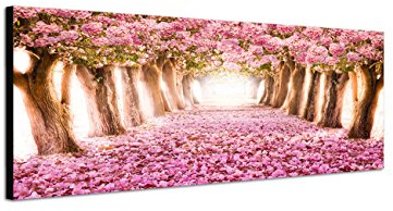 Augenblicke Wandbilder Keilrahmenbild Wandbild 150x50cm Allee Bäume Blüten Blütentunnel rosa
