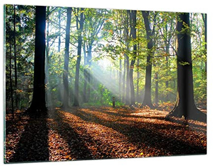Bilder auf Glas 120x80cm Wandbild Glasdruck Botanik Landschaften - 0136