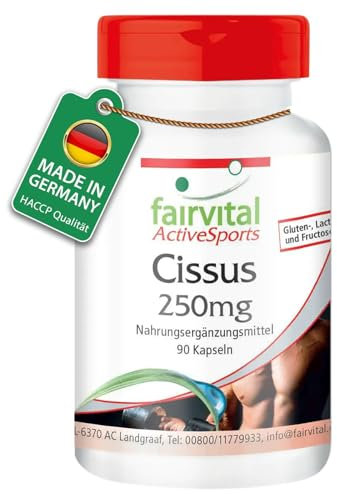 Fairvital | Cissus Capsules - Vegan - HIGH Dosage - 90 Capsules - Cissus quadrangularis