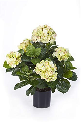 artplants.de Deko Hortensie Haruka, 230 Blüten, 135 Blätter, Creme - grün, getopft, Deluxe, 55cm, Ø 35cm - Hortensien künstlich - Kunstblumen im Topf