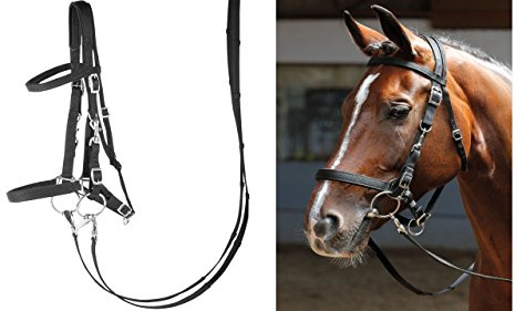 Harry's Horse Hoofdstel/halster, Farbe:schwarz, Größe:x-Full