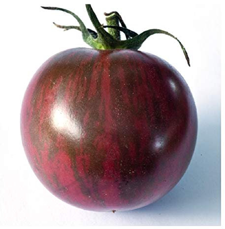 PREMIER SEEDS DIRECT Tomato Cherry - Artisan Purple Bumblebee - 10 Finest Seeds