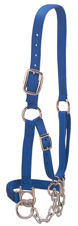 Weaver Lederhalfter, 35-0901-BL, blau, S