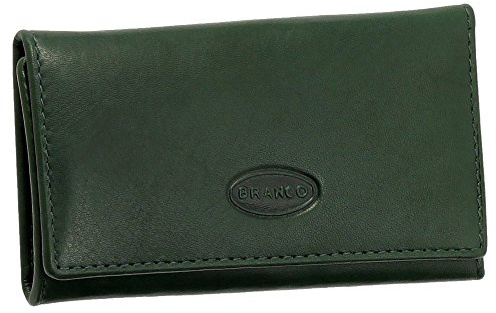 Ledershop24 Leder Schlüsseletui Schlüsseltasche Schlüsselmappe mit 6 Haken in Silberoptik Farbe Grün