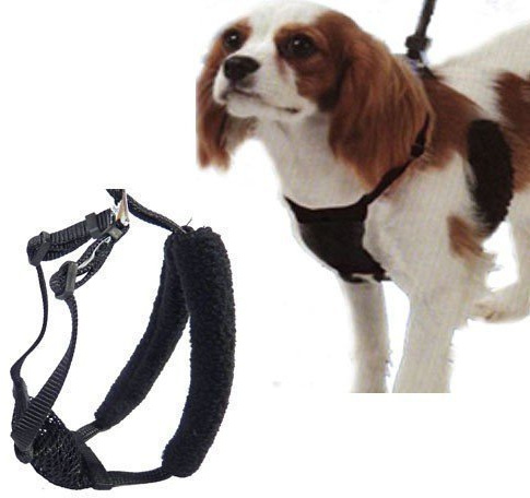 Medium svart anti-drag-nät hund sele hals storlekar 25,4 cm – 40,6 cm av Yuppie Puppy