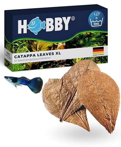 HOBBY Aquaristik Catappa Leaves XL I 12 Stück I große Seemandelbaumblätter für Aquarien I fördert Vitalität und Wohlbefinden von Fischen und Garnelen I natürlicher Wasserzusatz für Süßwasseraquarien