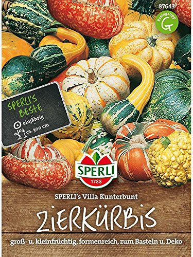 Zierkürbis, Villa Kunterbunt