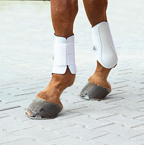 BUSSE Gamaschen ACTIVE, Grösse S, weiß, Hartschale: weiß