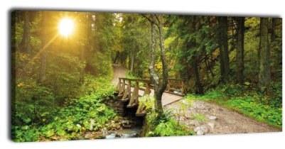Toile Panorama n ° 326 Forêt Chemin avec BACH 100 x 40 cm, Châssis avec image sur toile en, nature rivière Paysage