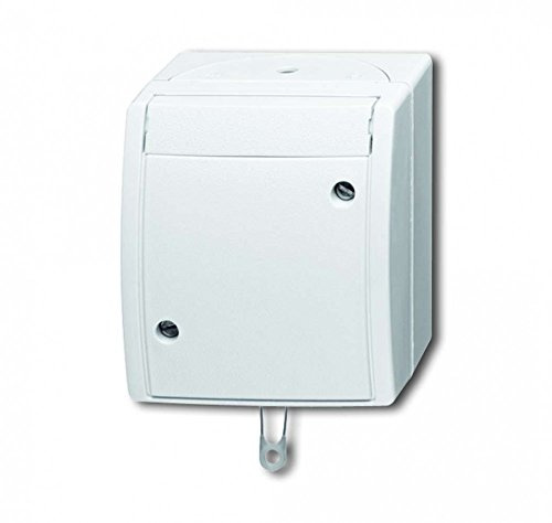 Busch-Jaeger 2610/6 W-54 Zugschalter