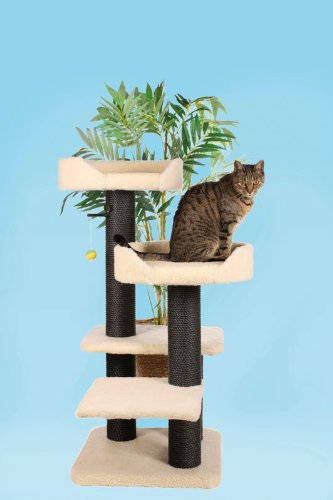 CLEVERCAT Kratzbaum Sandra mit stufenförmig angeordenten Etagen, ideal für Jungtiere oder ältere Stubentieger. Im stylischen Look. 4584 (24)