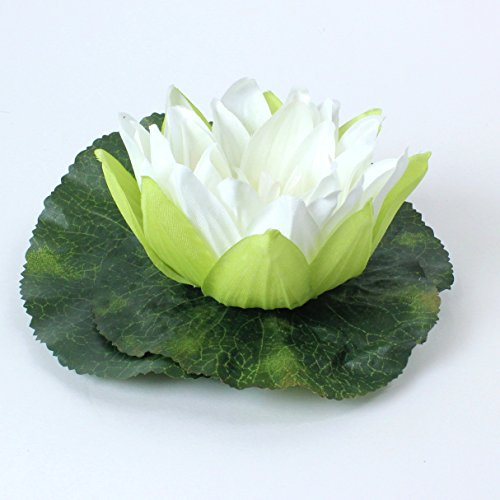 Seerose schwimmend creme 8 cm