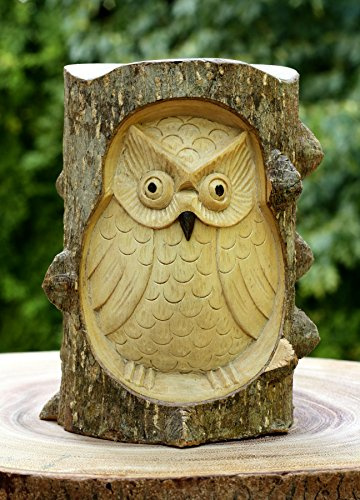 G6 COLLECTION Handgeschnitzte Eulenstatue aus Holz – handgefertigte indonesische Krokodil-Holzfigur – rustikale weise Eule Heimdekoration – tropische Wildtier-Vogel-Skulptur für Bücherregal, Büro oder