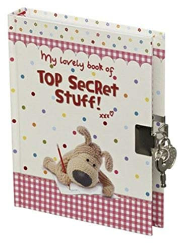 Boofle Lockable Journal Notes And Secrets