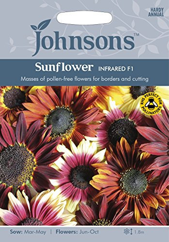 Johnsons 10911 Flower Seeds, Sunflower Infrared F1, Mixed
