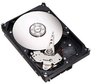 Seagate NL35 Series 500GB 3.5 SATA II 3.5 Seriale ATA II HDD