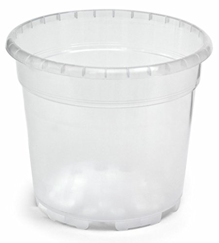 Floralo blomkruka, orkidé kruka diameter 19 cm, transparent, 19 x 19 x 18,5 cm, 3,5 L, 727