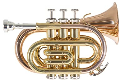 Roy Benson Bb-Taschentrompete PT-101G (mit Goldmessing Schallstück, kompakte Größe trifft auf professionellen Klang, inklusive Rechtecketui & Rucksackgarnitur)