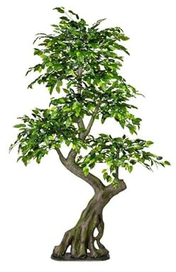 Künstlicher Ficus Waldbaum ca. 170cm hoch auf Bodenplatte - Großer Ficusbaum mit knorrigem Stamm aus PE Material