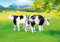 PLAYMOBIL 7892 - Rinderfamilie: Kuh, Bulle, Kälbchen (Folienverpackung)