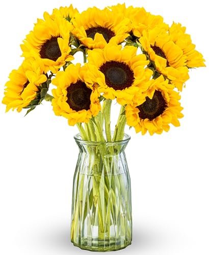 Benchmark Bouquets - Sunflowers - Fresh Flowers for Delivery - Mothers Day Flowers - Yellow Flowers in a Vase - Flores Amarillas - Mothers Day Gifts for Mom - Glass Vase Included (10 Stems)