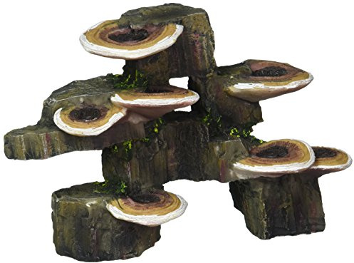 Penn-Plax Deco-Replicas Tronc d'arbre avec étagère, Champignons, décoration d'aquarium, sans Danger pour Les Aquariums d'eau Douce et d'eau de mer, Taille S